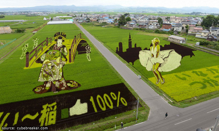 ผลงานศิลปะ Tanbo Art