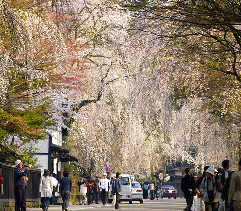 Kakunodate Samurai District