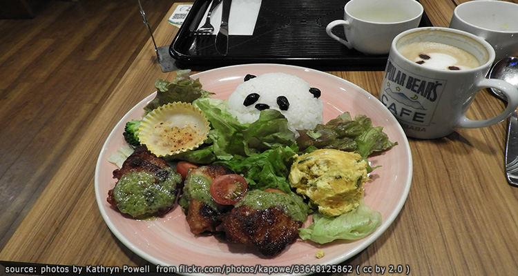 คาเฟ่แก๊งหมีขาวชิโรคุมะ
