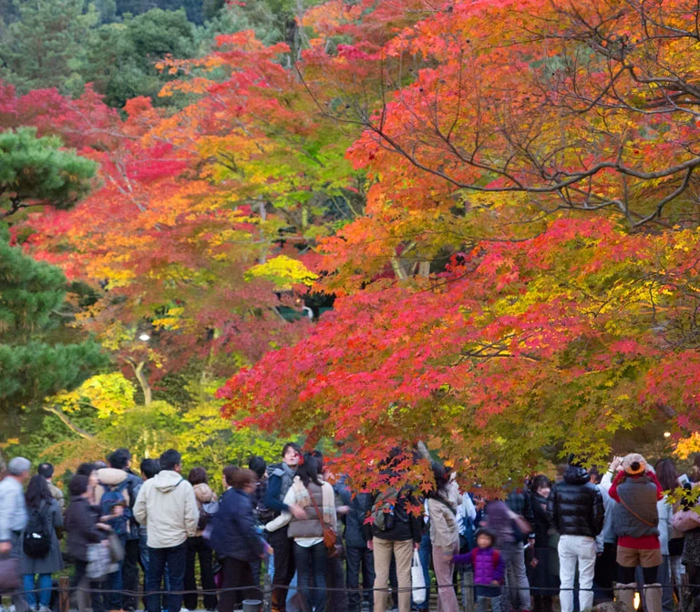 Kodaiji Temple