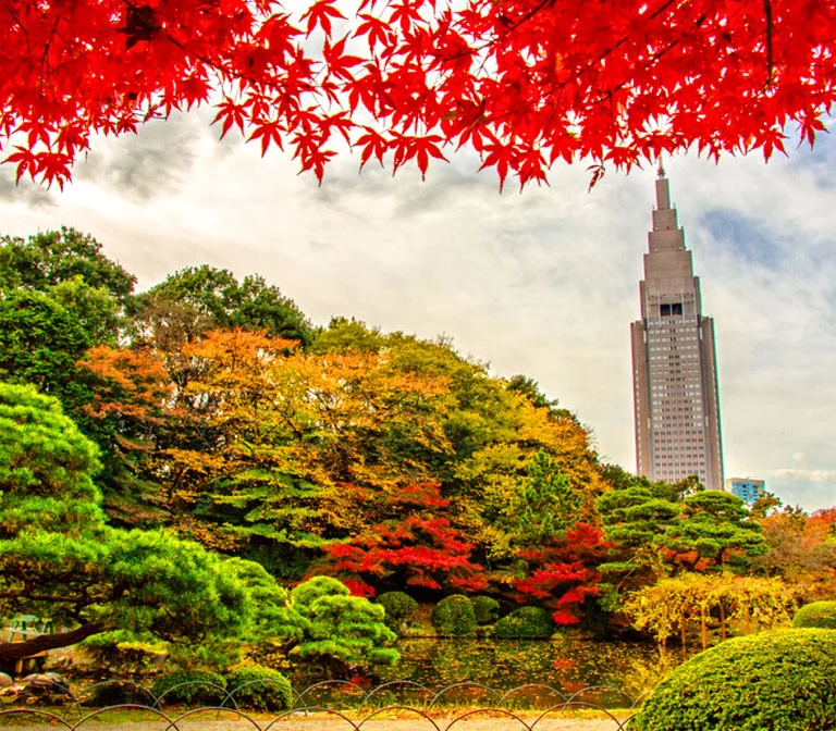 Shinjuku Gyoen