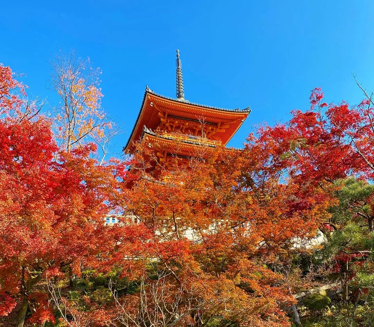 kiyomizu-dera