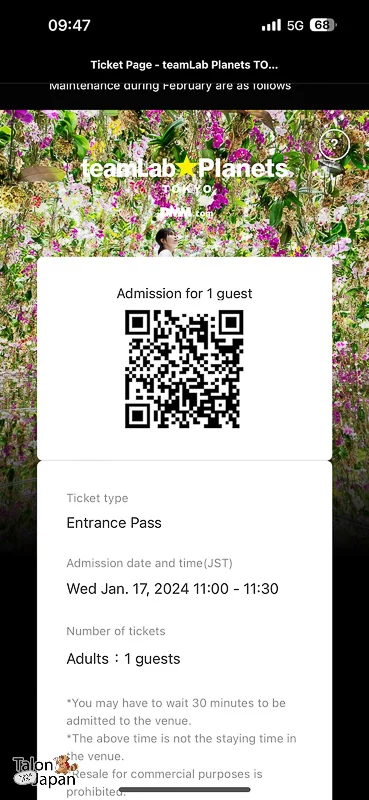 Review image of Teamlab Tokyo