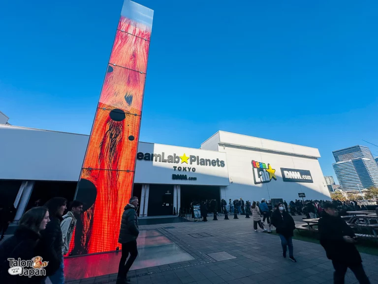 Review image of Teamlab Tokyo