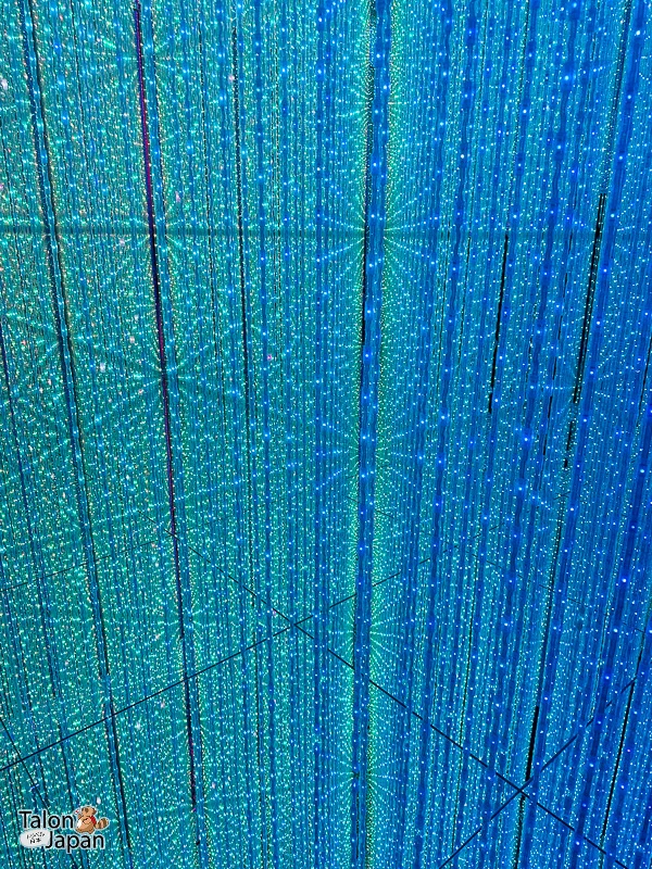 Review image of Teamlab Tokyo