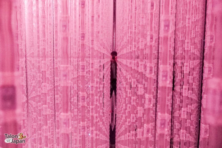 Review image of Teamlab Tokyo