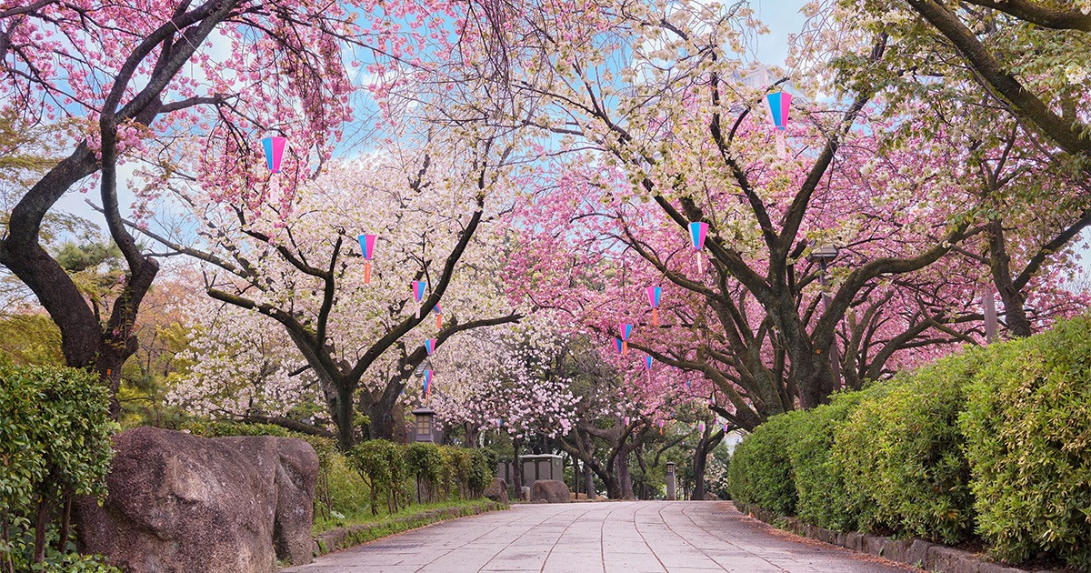 สวนอาซุกายามะ