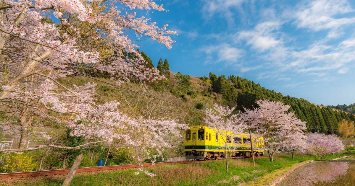 Isumi Railway