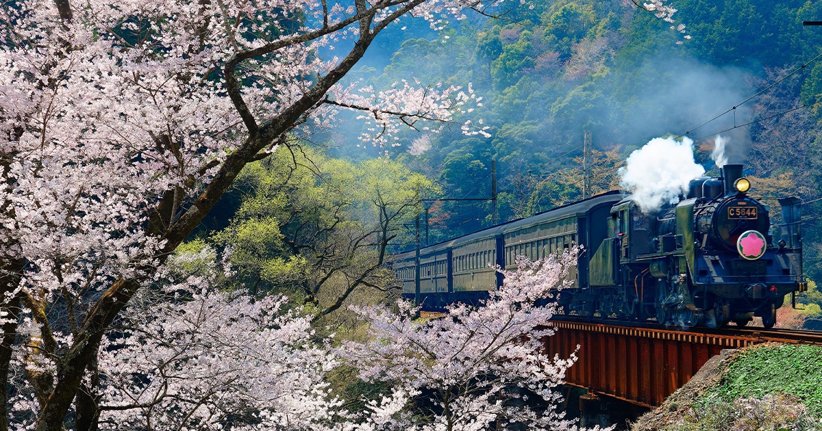 Oigawa Railway