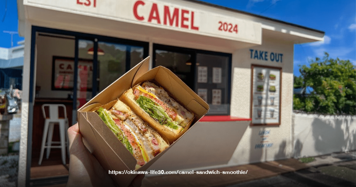 CAMEL SANDWICH & SMOOTHIE