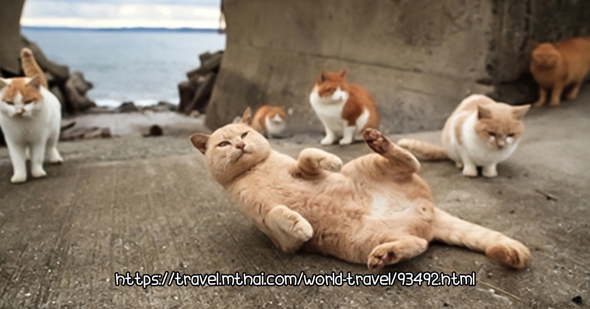 เกาะเอโนะชิมะ