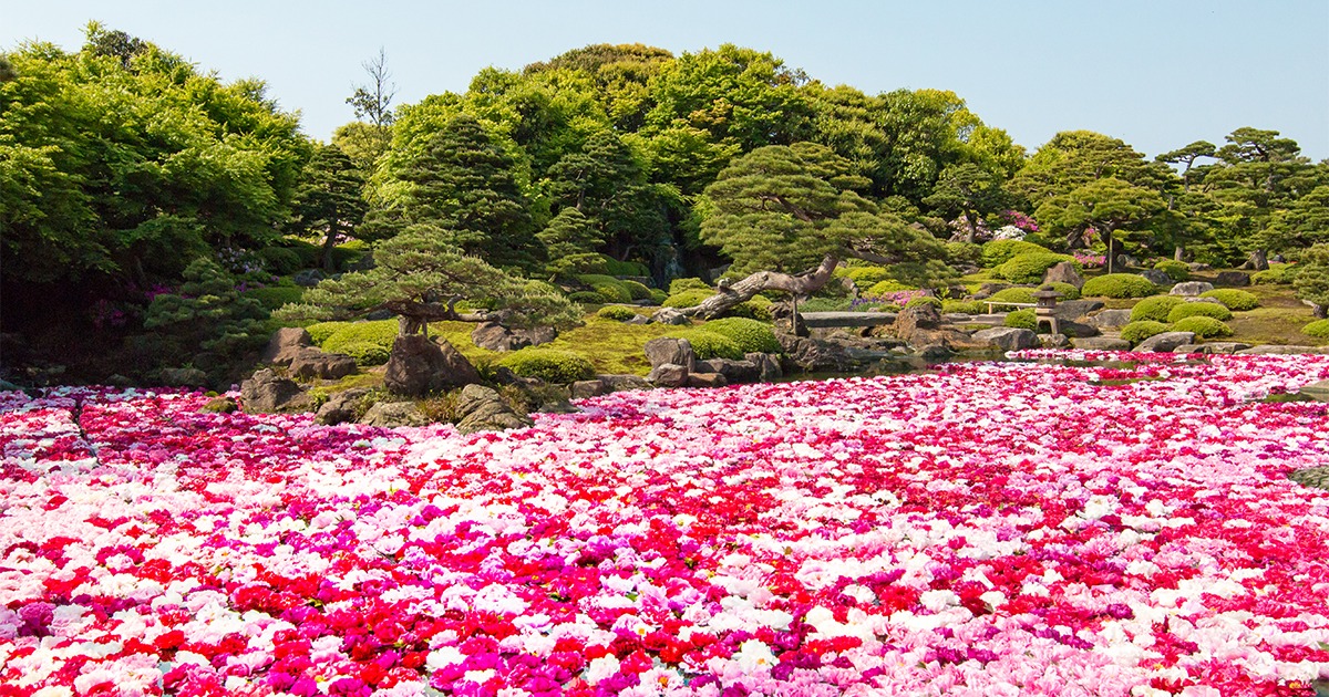 สวนยูชิเอ็น