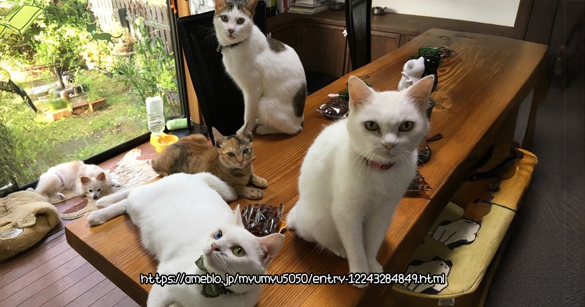 Nyanbarwan