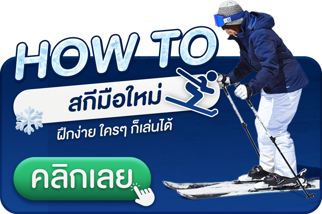หิมะญี่ปุ่น