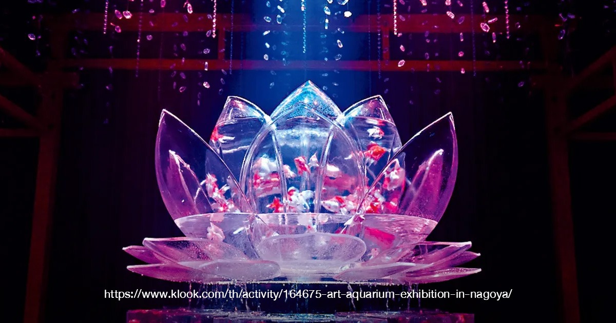 Art Aquarium Museum