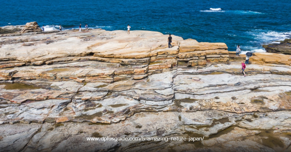 Senjojiki Rock Plateau Viewpoint