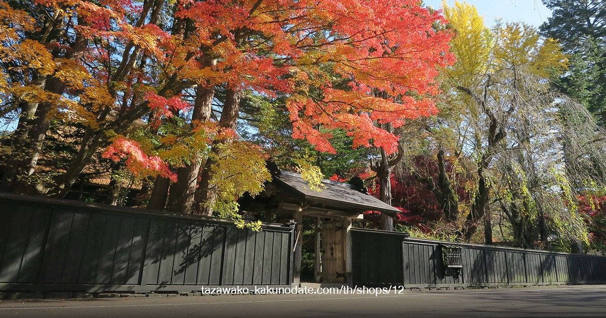 Ishiguro Samurai House