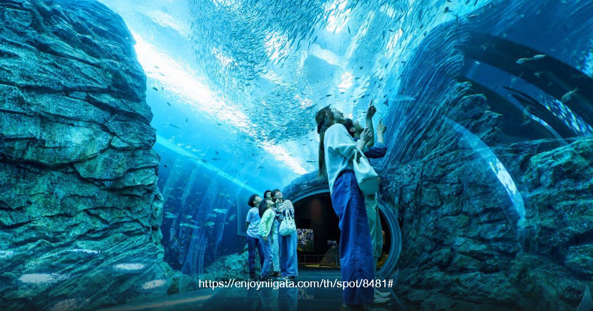Niigata City Aquarium