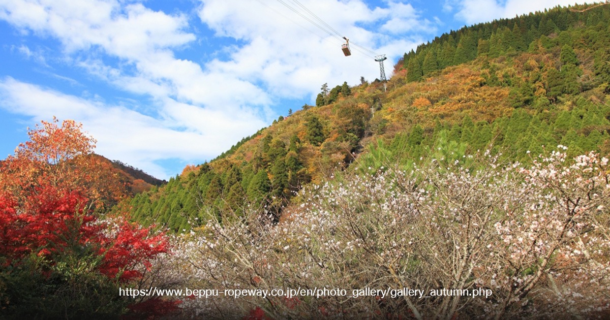 Beppu Ropeway