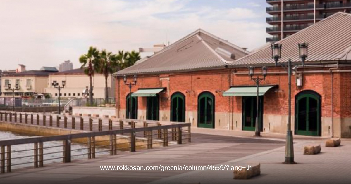 Kobe Brick Warehouse