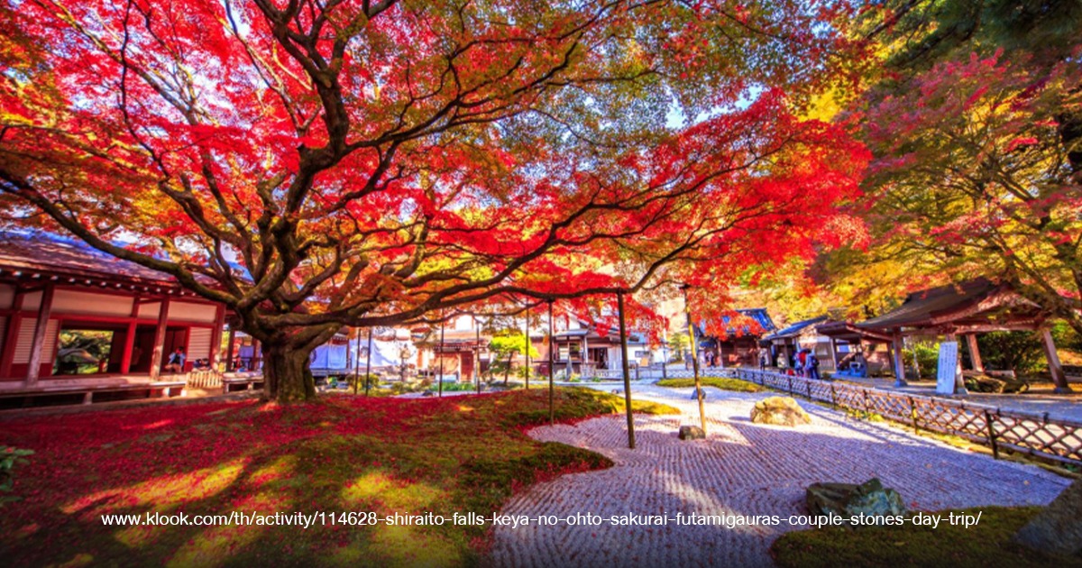 Raizan Sennyoji Daihioin