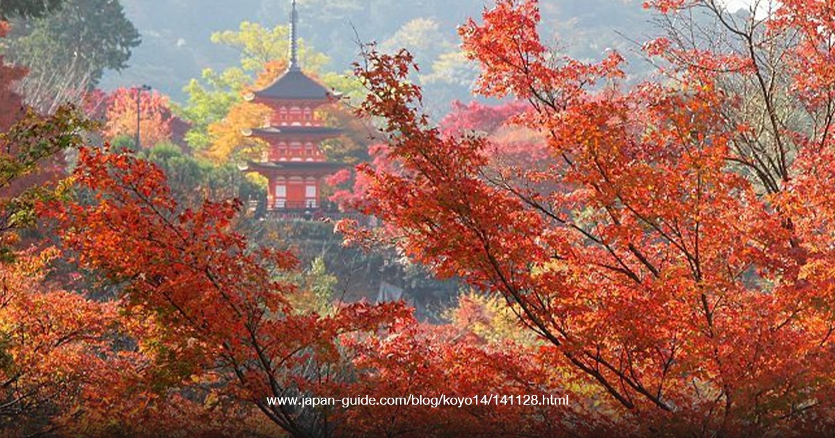 Isamu Noguchi Garden Museum