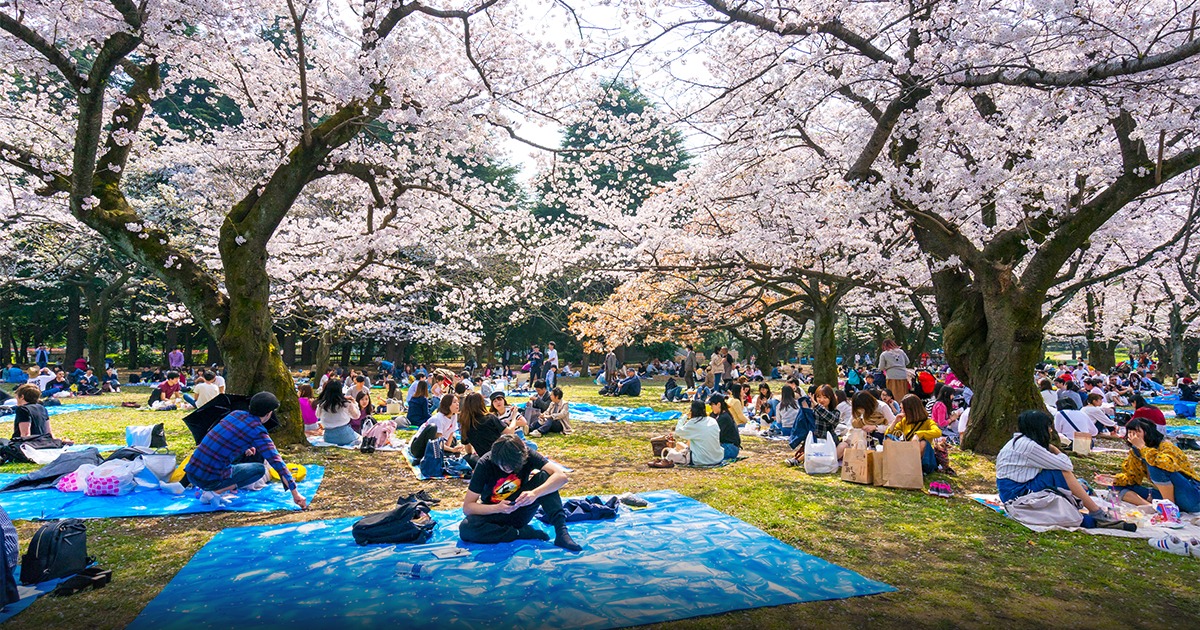 สวนโยโยงิ