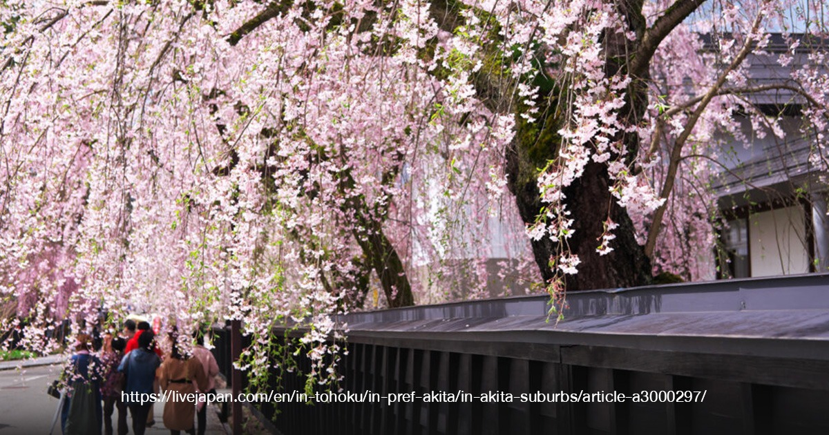 จังหวัด ญี่ปุ่น