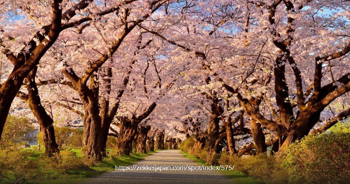 Kitakami Tenshochi Park