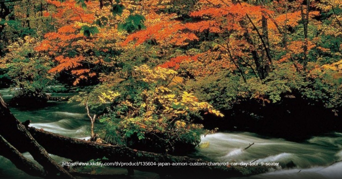 อา โอ โม ริ