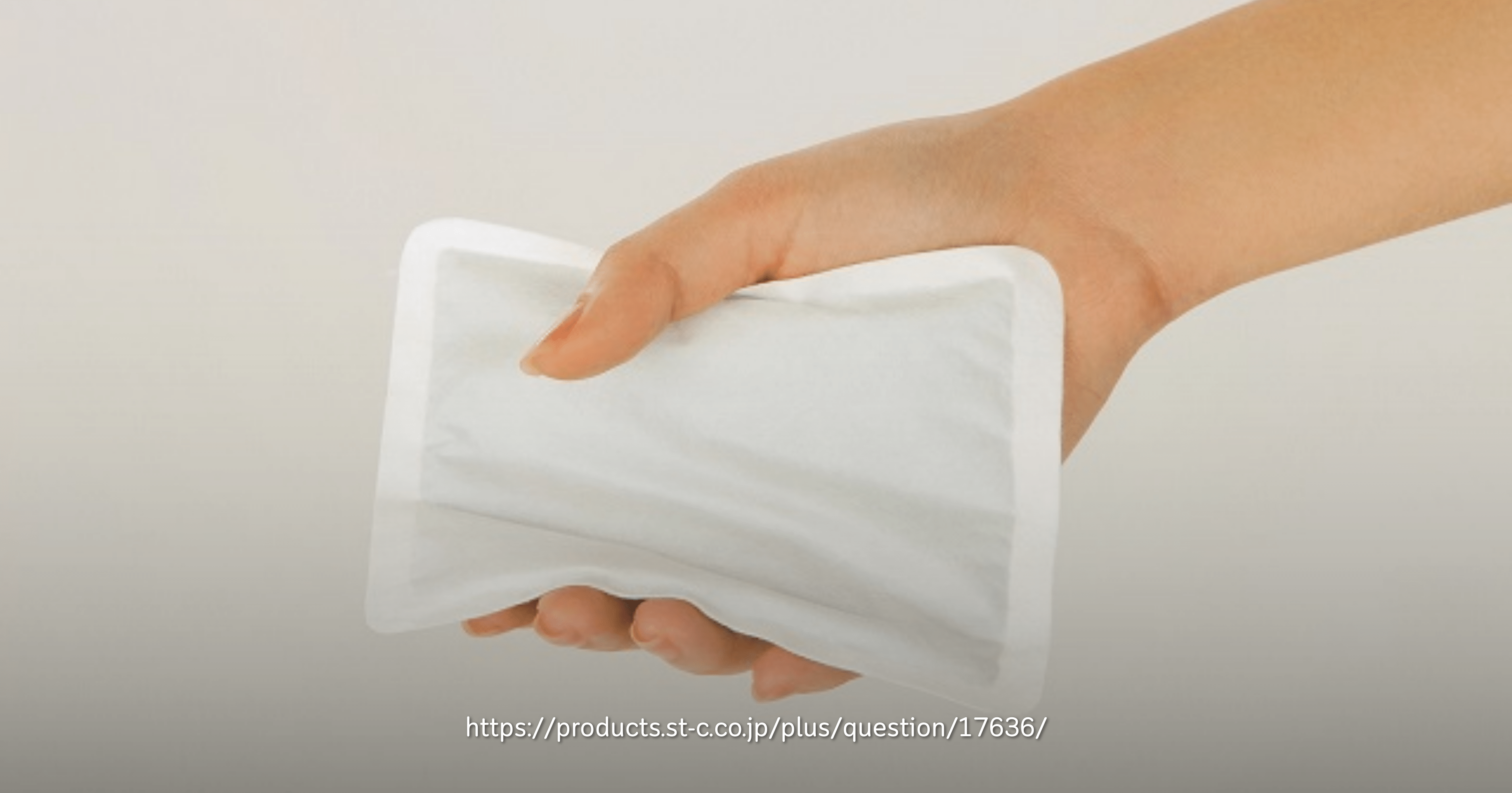 ถุงร้อน ญี่ปุ่น