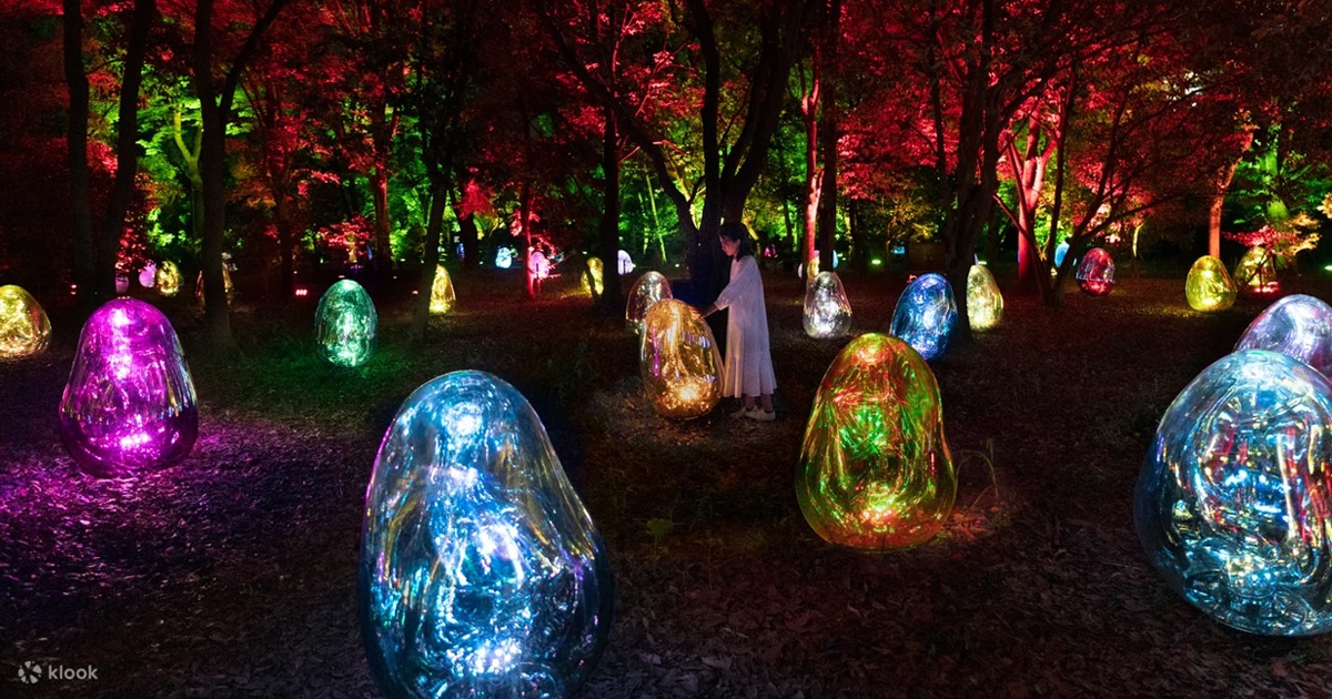 teamlab