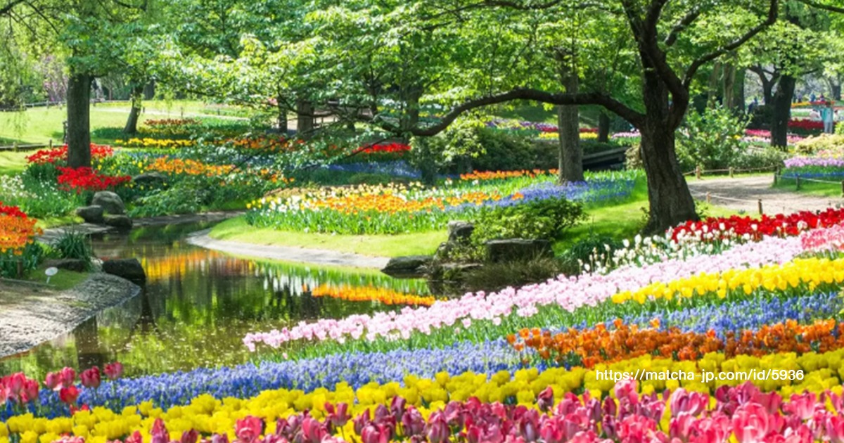 Showa Kinen Park