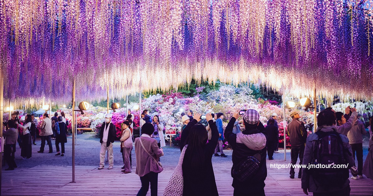 Ashikaga Flower Park